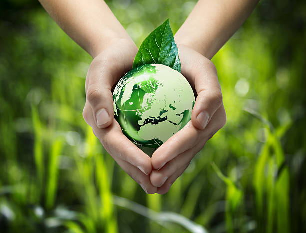 Vai trò của nhãn Carbon trong quyết định mua sắm của người tiêu dùng