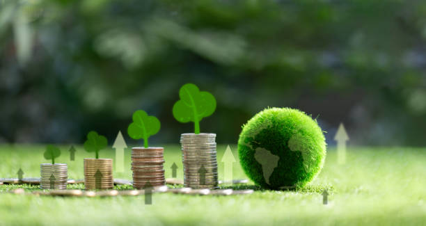 Tư vấn chiến lược Net Zero & giảm phát thải