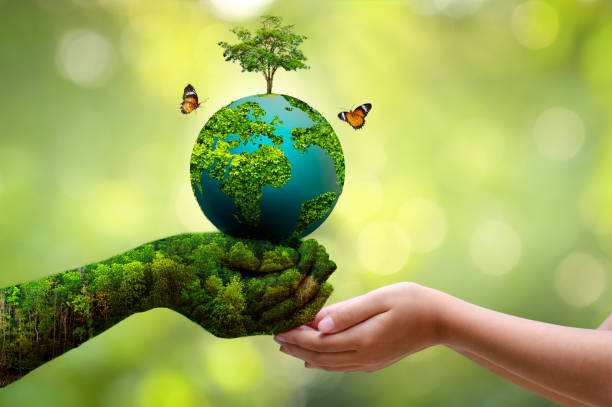 Việt Nam hướng tới Net Zero vào năm 2050: Doanh nghiệp cần làm gì?
